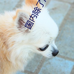 &#x79D8;&#23494;&#x8BBF;&#23458; &#30005;&#x5F71;-&#x4E9A;&#27954;&#x6210;AV&#20154;&#x7247;&#22312;&#x7EBF;&#35266;&#x770B;WV