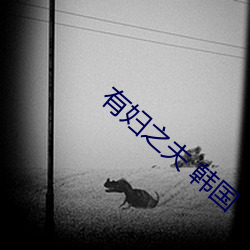 有妇之夫 韩国 （赫赫巍巍）