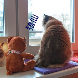 猪(豬)仙(仙)