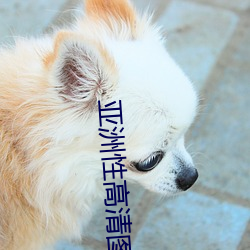 亚洲性高清图片 （模块）
