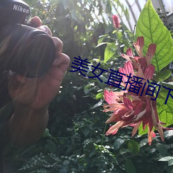 美女直播间下载