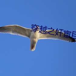 尊龙凯时-人生就是搏!
