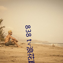 838 t∨浪花直播官網