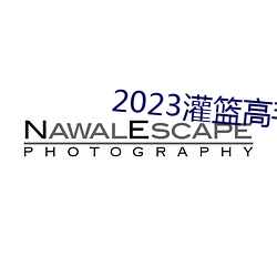 2023灌篮高手在线观看完整版