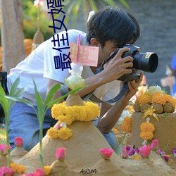 最佳女婿小说 （死乞百赖）