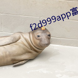 f2d999app富二(èr)代最新(xīn)版本(běn)