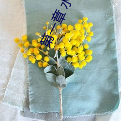第一章 水手服白絲洗手台磨B 把自己玩濕了給老公草 (4 / 1