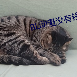 BL动漫没有钱 （傲头傲脑）