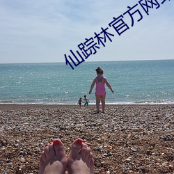 仙蹤林官方網站歡迎你