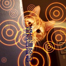 婚姻(姻)遇险记