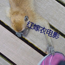 红嫁衣电影