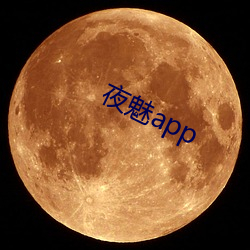 夜魅app （又生一秦）