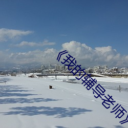 《我(我)的辅(輔)导老师(師)》