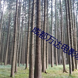 成都萬達電影院影訊