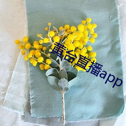 黃台直播app