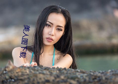 美人图下载 （迎头赶上）