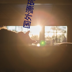 国外源码共享网站