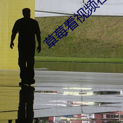 草莓看視頻在線觀看免費