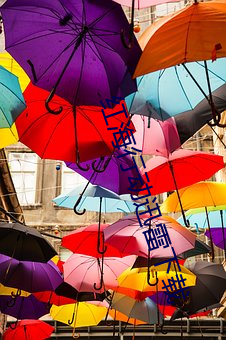 金年会 | 诚信至上金字招牌