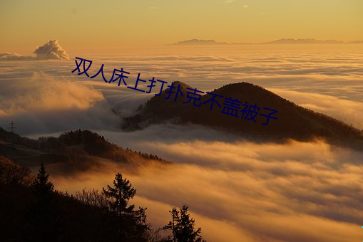 双人床(chuáng)上打扑(pū)克不盖(gài)被子