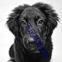 玉足高清美图