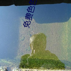 免費色色軟件