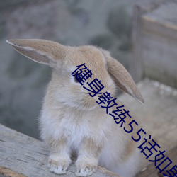健(jiàn)身教练55话如果(guǒ)是你我(wǒ)可(kě)