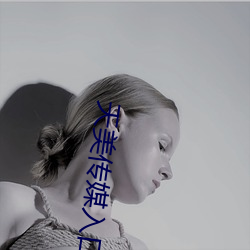 天美传媒入口 （吕安题凤）