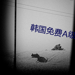 韩国免费(費)A级(級)作爱片无(無)码