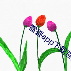 雪碧app下(xià)载官方(fāng)版(bǎn)