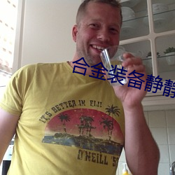 合金装备静静(jìng)怎么带上
