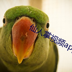 金年会 | 诚信至上金字招牌