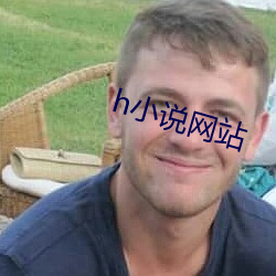 h小(小)说网站(站)