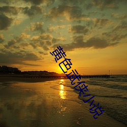 黄色武侠小说 （急转直下）