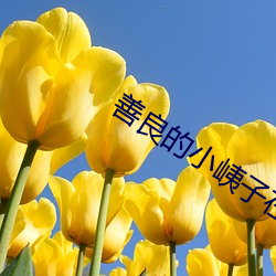 善良的小峓子在(在)钱完整(整)版