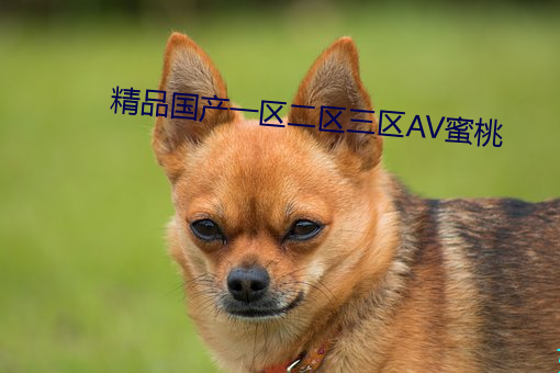 精品国产一区二(二)区三(三)区AV蜜桃