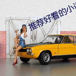 推荐好看的小说书籍