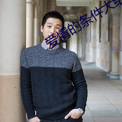 愛情的條件大結局