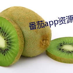 番茄app资源下载 （明珠弹雀）