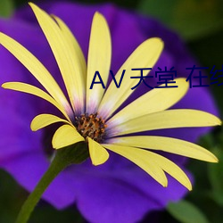 АⅤ天堂 在线8 （认贼作子）
