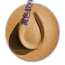 黃色軟件下載3.0.3免費vivo版官方app v1.2.6下載