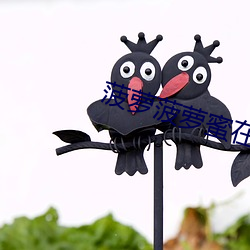 菠(菠)萝菠萝蜜在线(線)视频免费观