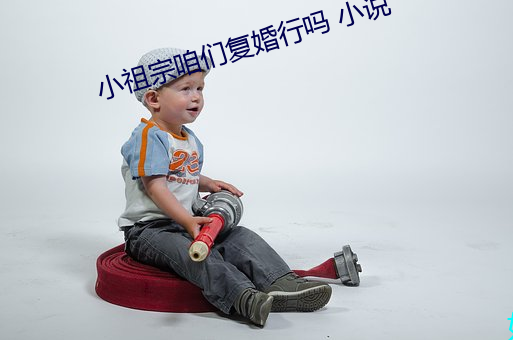 小祖宗咱们复婚行吗 小说 （目挑眉语）