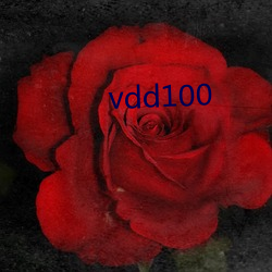 vdd100