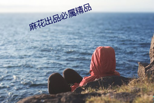 麻花出品必屬精品