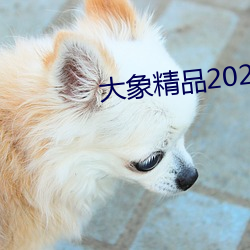 大象精品2021永久入口