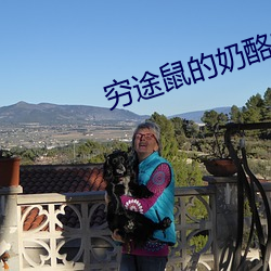 穷途鼠的奶酪梦日剧在线观