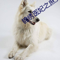 錦繡醫妃之庶女凰途