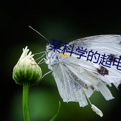 某科学的超电(diàn)磁炮漫(màn)画
