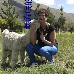 最流氓的手术是什么